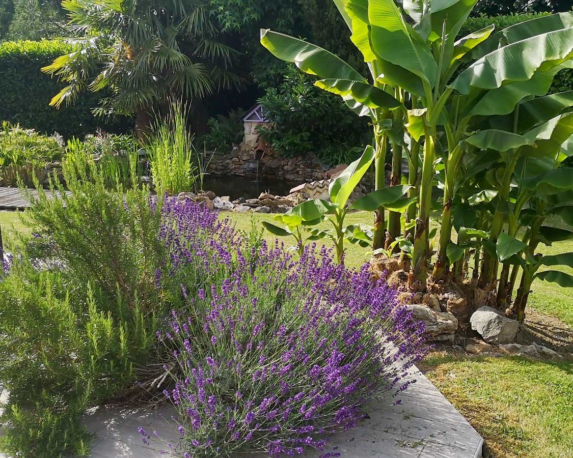 Un jardinier-paysagiste en Seine-et-Marne pour l’entretien de vos espaces verts
